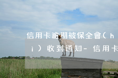 信用卡逾期被保全會(huì)不會(huì)收到通知-信用卡逾期被保全會(huì)不會(huì)收到通知短信