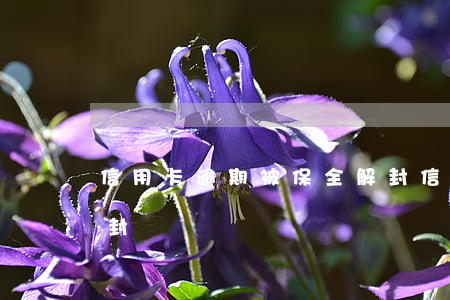 信用卡逾期被保全解封(信用卡逾期被保全解封)