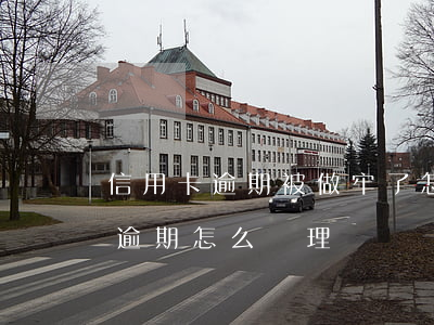 信用卡逾期被做牢了怎么還錢(坐牢了信用卡逾期怎么處理)