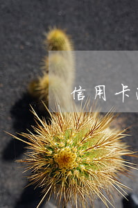 信用卡逾期被停了一個(gè)月怎么辦