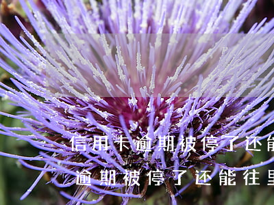 信用卡逾期被停了还能往里转账吗-信用卡逾期被停了还能往里转账吗怎么办