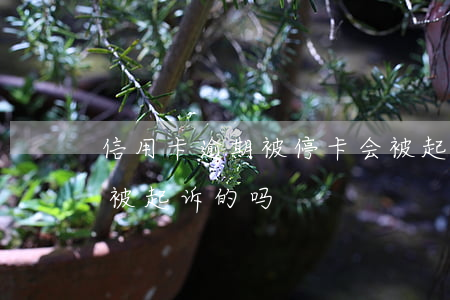 信用卡逾期被停卡会被起诉吗(有信用卡逾期被起诉的吗)