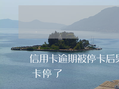 信用卡逾期被停卡后果(沒逾期銀行把我信用卡停了)