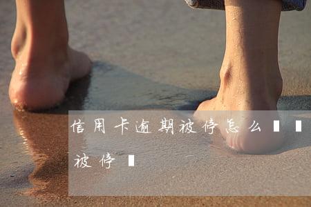 信用卡逾期被停怎么辦(貸款有逾期信用卡會被停嗎)