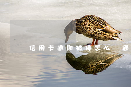 信用卡逾期被停怎么開通