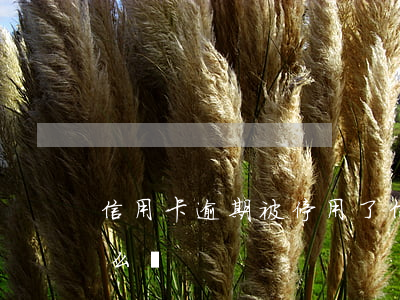 信用卡逾期被停用了(信用卡逾期被停用了怎么辦)