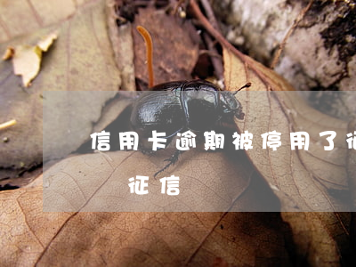 信用卡逾期被停用了征信(信用卡被停用了影響征信嗎)