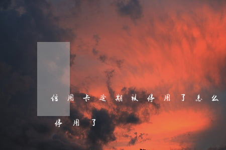 信用卡逾期被停用了怎么辦(為什么信用卡被停用了)