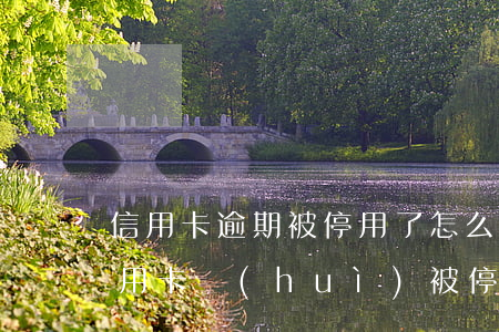 信用卡逾期被停用了怎么還款(貸款有逾期信用卡會(huì)被停嗎)