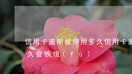 信用卡逾期被停用多久(信用卡逾期被停用多久會恢復(fù))
