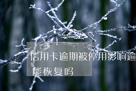 信用卡逾期被停用影响(逾期停用的信用卡还能恢复吗)