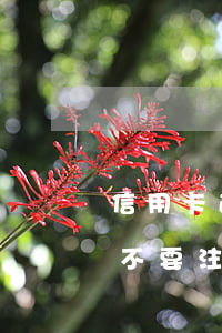 信用卡逾期被停用征信(信用卡逾期被停用要不要注銷(xiāo))