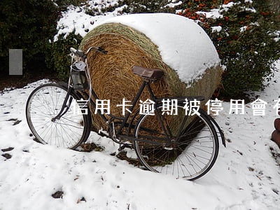 信用卡逾期被停用會有年費么
