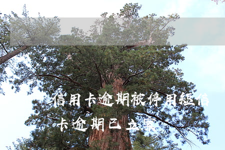 信用卡逾期被停用短信(發(fā)短信信用卡逾期已立案)