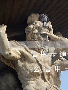 信用卡逾期被停用還不進(jìn)去(為什么信用卡沒有逾期被停了?)