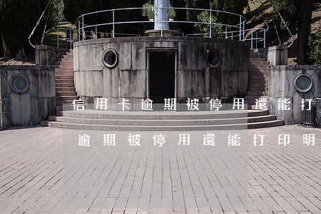 信用卡逾期被停用還能打印明細嗎-信用卡逾期被停用還能打印明細嗎怎么辦