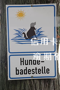 信用卡逾期被催債怎么說(怎么樣應對信用卡逾期催收電話?)