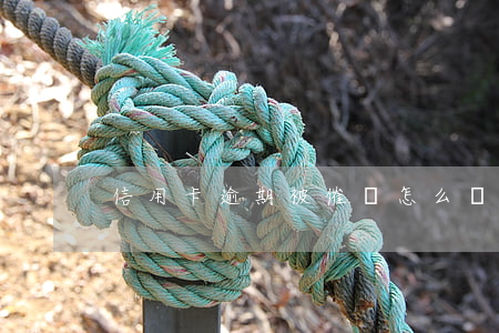信用卡逾期被催債怎么辦(信用卡逾期催款)