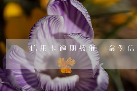 信用卡逾期被催債案例(信用卡逾期催款)
