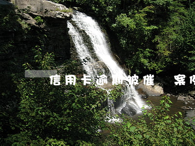 信用卡逾期被催債案例(年底了信用卡催款)
