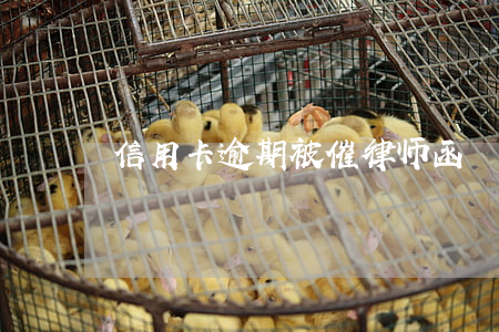 信用卡逾期被催律师函