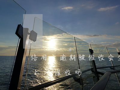 信用卡逾期被催收会坐牢么(欠银行信用卡会上门催收吗)