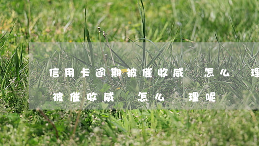 信用卡逾期被催收威脅怎么處理(信用卡逾期被催收威脅怎么處理呢)