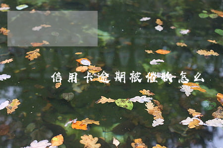信用卡逾期被催收怎么處理的