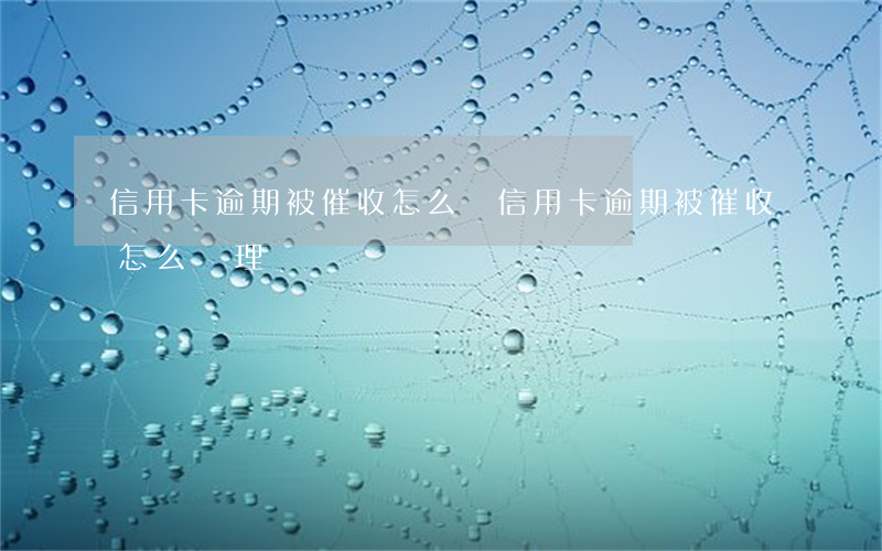信用卡逾期被催收怎么辦(信用卡逾期被催收怎么處理)