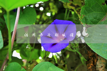 信用卡逾期被催收恐嚇-信用卡逾期催收方式