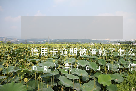 信用卡逾期被催款了怎么辦(怎么樣應(yīng)對(duì)信用卡逾期催收電話?)