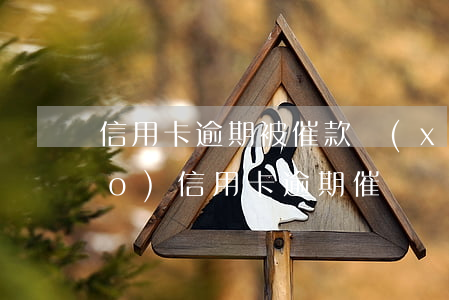 信用卡逾期被催款協(xié)調(diào)(信用卡逾期催債電話)