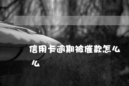 信用卡逾期被催款怎么辦-信用卡 逾期了怎么辦