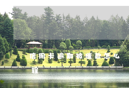 信用卡逾期被催款怎么辦(信用卡逾期催款流程)