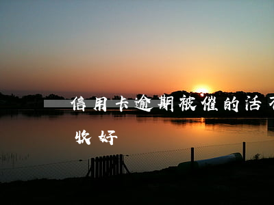 信用卡逾期被催的活不下去(做信用卡逾期催收好嗎)