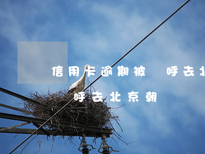 信用卡逾期被傳呼去北京朝陽(信用卡逾期被傳呼去北京朝陽)