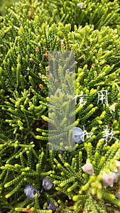 信用卡逾期被儲蓄卡會被扣款嗎(銀行卡逾期扣款)