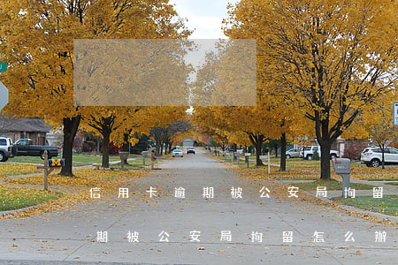 信用卡逾期被公安局拘留怎么辦-信用卡逾期被公安局拘留怎么辦理