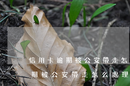 信用卡逾期被公安帶走怎么處理-信用卡逾期被公安帶走怎么處理呢