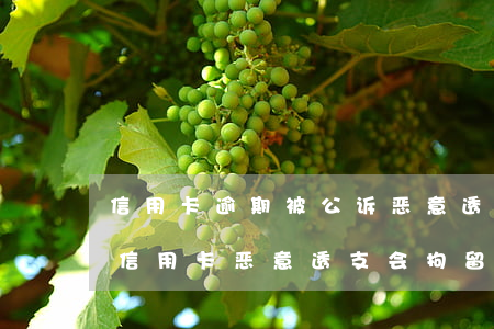 信用卡逾期被公诉恶意透支的多吗-被起诉信用卡恶意透支会拘留吗