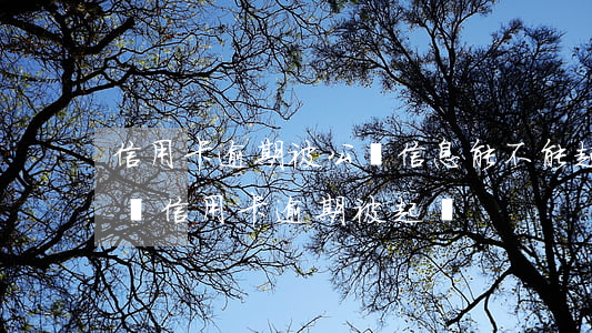 信用卡逾期被公開信息能不能起訴 收到短信說信用卡逾期被起訴