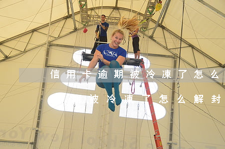 信用卡逾期被冷凍了怎么解封使用-信用卡逾期被冷凍了怎么解封使用呢