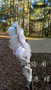 信用卡逾期被冻结了多久自动解冻-信用卡冻结客服说不可以解冻