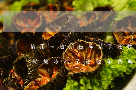 信用卡逾期被冻结了还收年费吗-信用卡逾期被冻结了还收年费吗怎么办