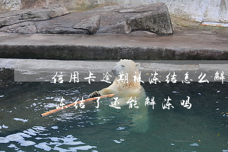 信用卡逾期被冻结怎么解除(因逾期信用卡被冻结了还能解冻吗)