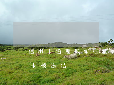 信用卡逾期被冻结怎么重新激活(未激活信用卡被冻结)