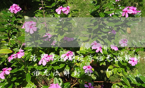 信用卡逾期被冻结无法解封(信用卡逾期被冻结无法解封吗)
