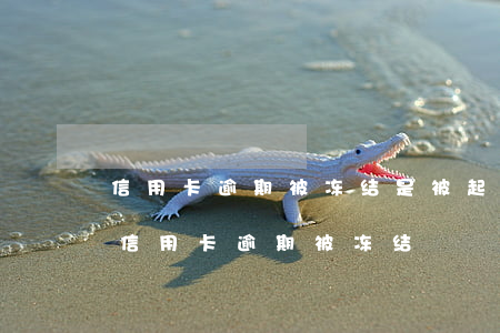 信用卡逾期被冻结是被起诉了吗(银行卡因为信用卡逾期被冻结)
