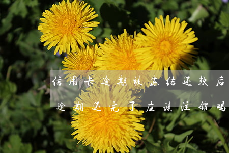 信用卡逾期被冻结还款后销户 停用的信用卡逾期还完了应该注销吗