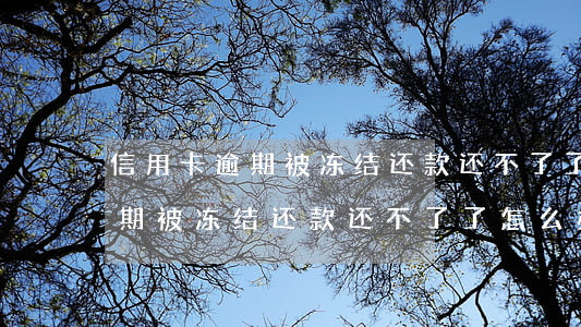 信用卡逾期被冻结还款还不了了-信用卡逾期被冻结还款还不了了怎么办